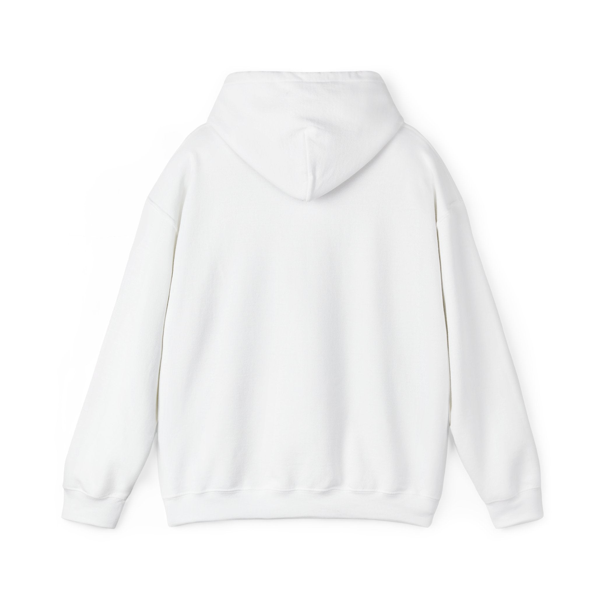 Sweat-shirt à capuche 100KAGNE
