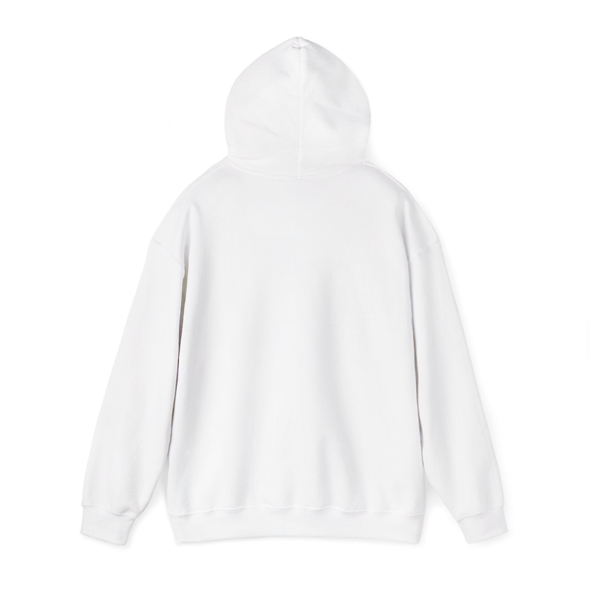 Sweat-shirt à capuche 100KAGNE